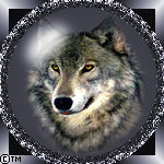 Avatar loup